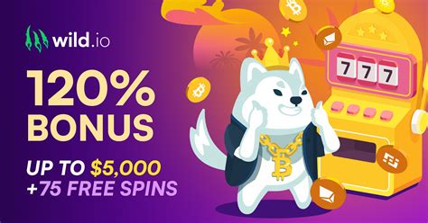 wild.io casino login|Crypto Casino Games and Bitcoin Casino Games .